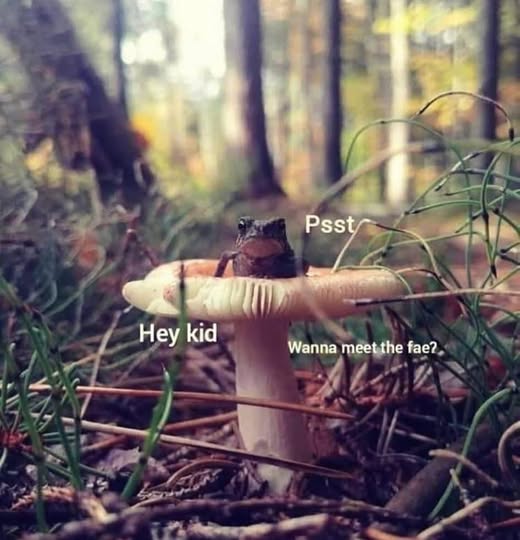 Small frog on a mushroom asking the viewer if they "Want to meet the fae?" implying a psychedlic drug trip.