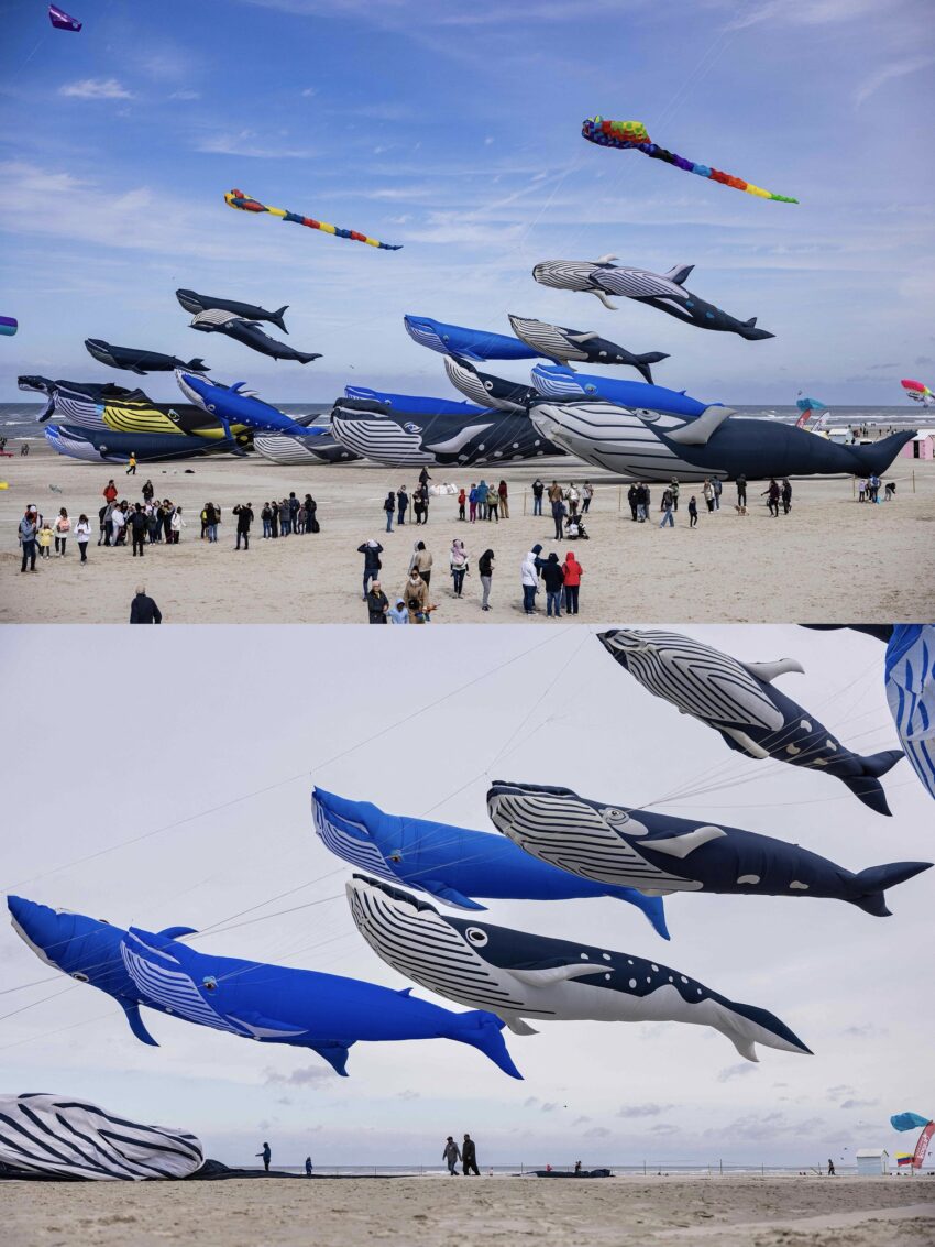 Source: 38th International Kite Festival,Berck-sur-Mer, France (April 16, 2025)