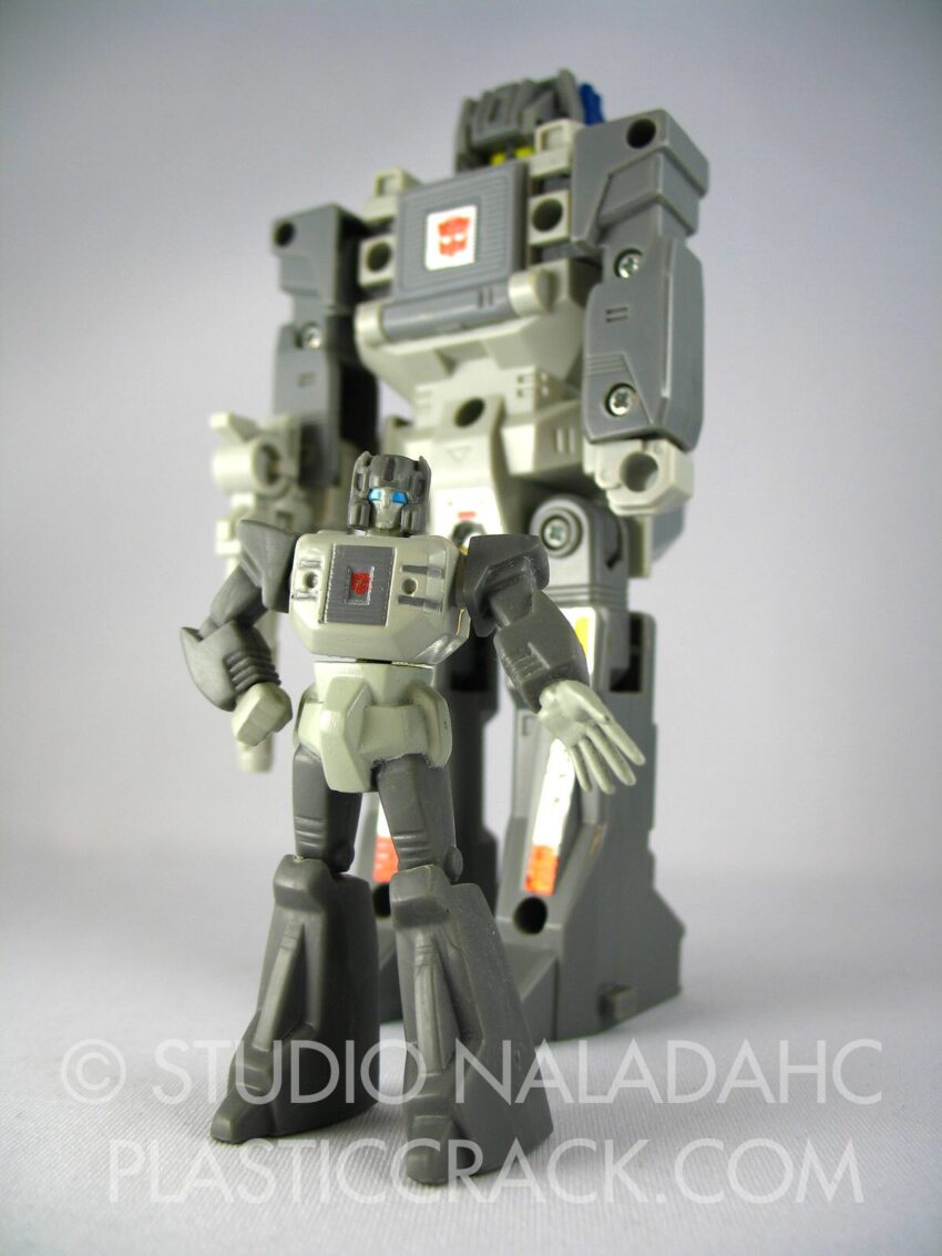 Fortress (PVC and G1)