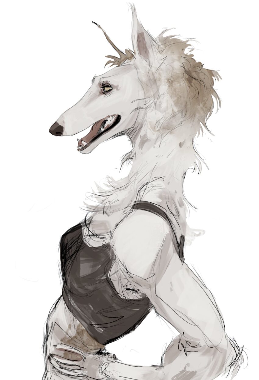 Artist: Kura(https://linktr.ee/Cyviarvuk)