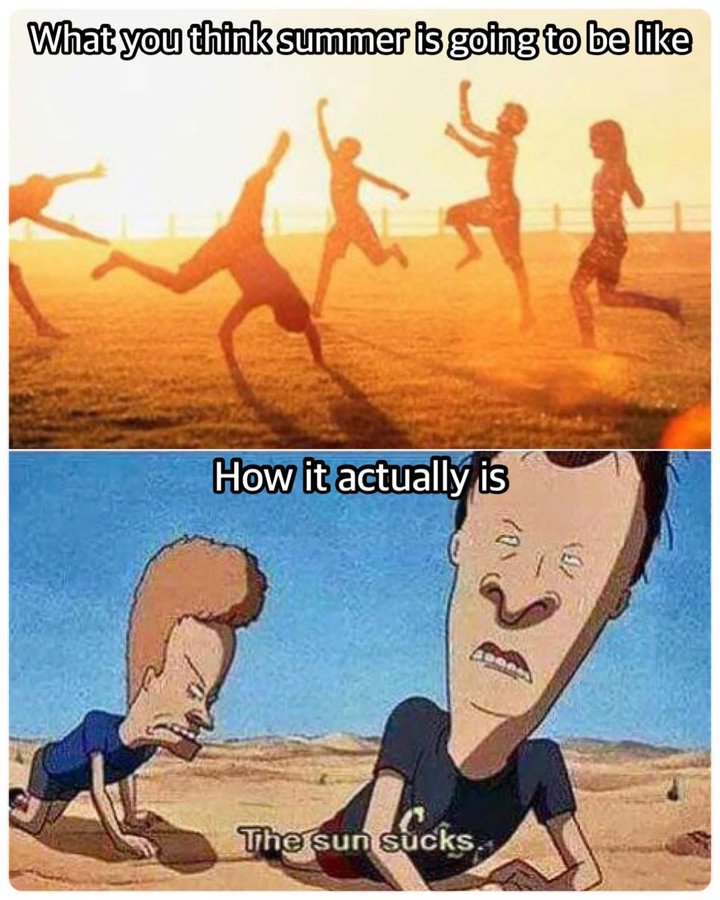 Meme image. Top picture shows a bunch of kids in the sun playing and having fun and the caption reads "What you think summer is going to be like". Bottom picture is of Beavis and Butthead crawling through a desert with the caption "How it actually is" while Butthead says "The sun sucks."
