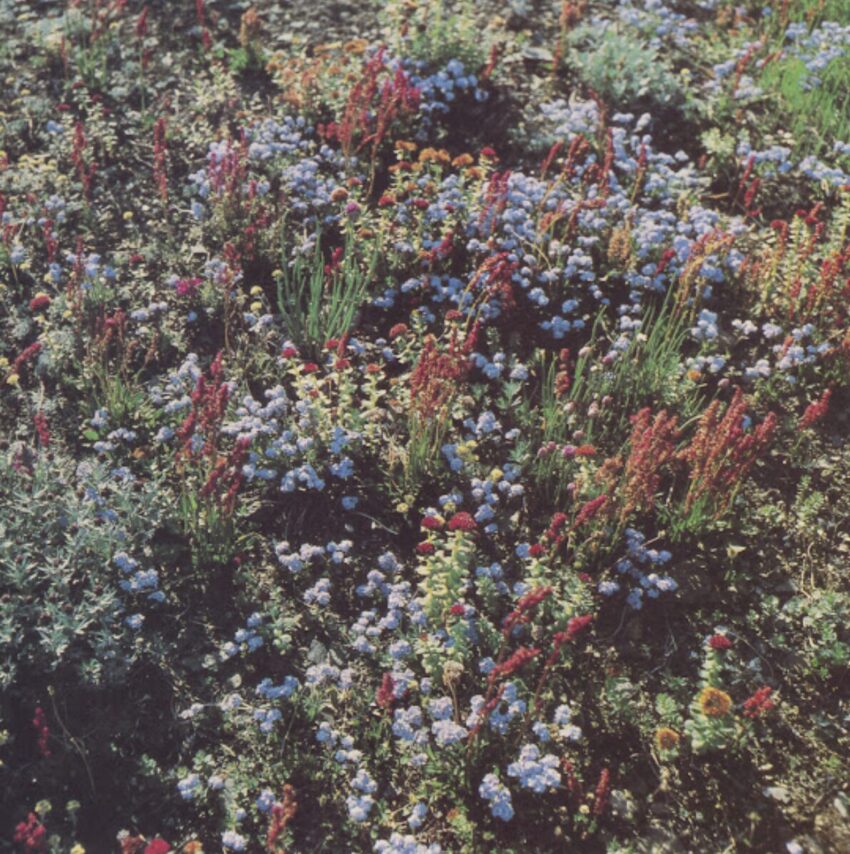 Cover art of Motorama's 2021 album "Before The Road".