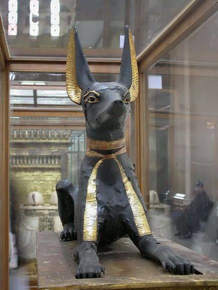A photo of Anubis from the Anubis shrine buried with Pharaoh Tutankhamun.