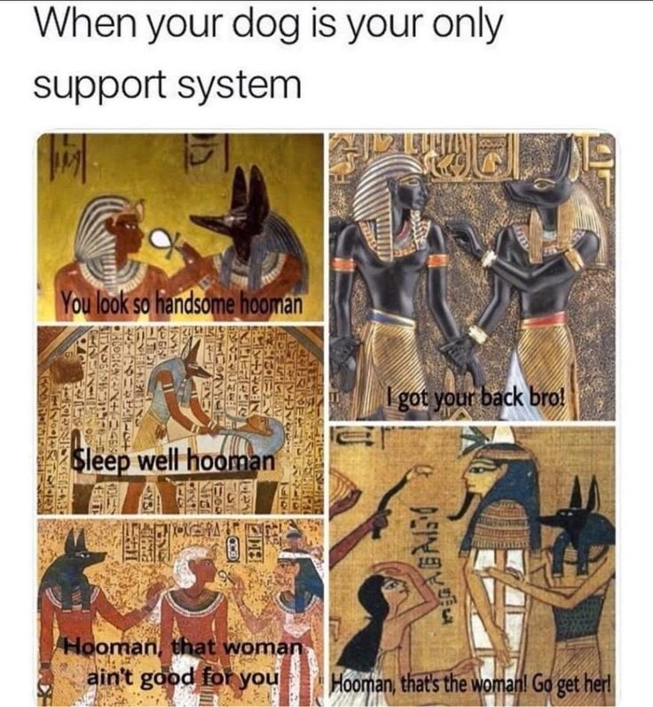 A meme image of various images taken from Ancient Egyptian tomb/temple walls and papyri, showing Anubis doing various things. The main caption reads "When your dog is your only support system" while the various text over the various images reads "You look so handsome hooman", "Sleep well hooman", "Hooman that woman ain't good for you", "I got your back bro", and "Hooman, that's the woman! Go get her!"