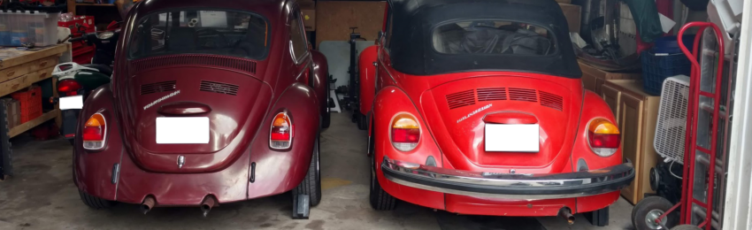 Image of Nala's 2 classic VW Beetles, Żuczek Brzęczyszczykiewicz and Murbella