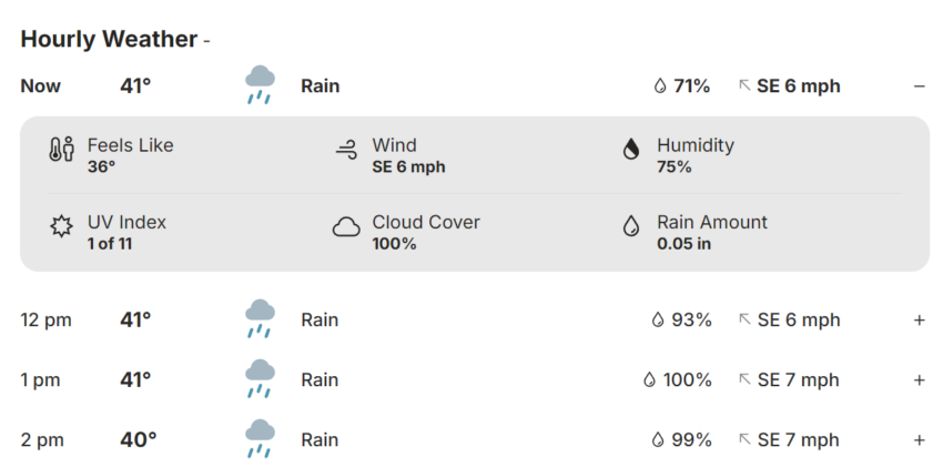 Nala's weather for November 18, 2025 via weather.com screencap