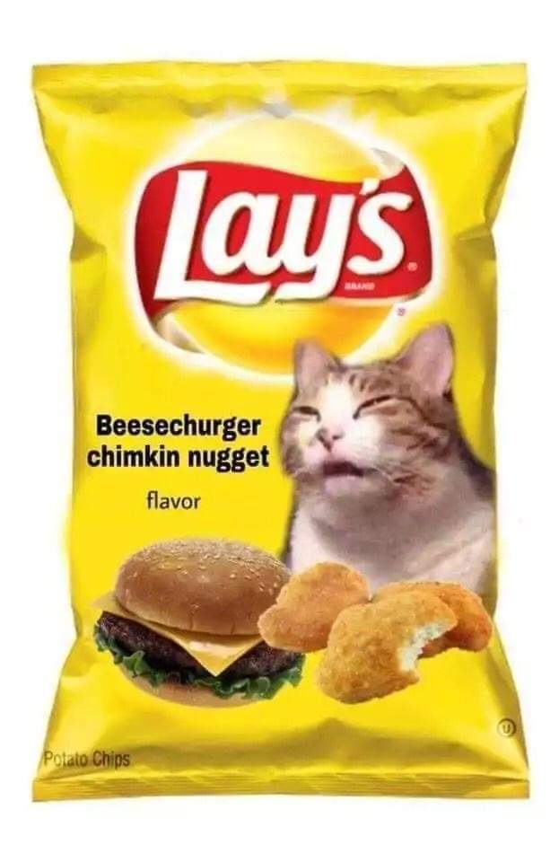 LOLCAT meme of a Lay's chip bag that has "Beesechurger chimkin nugget" flavors for cats.